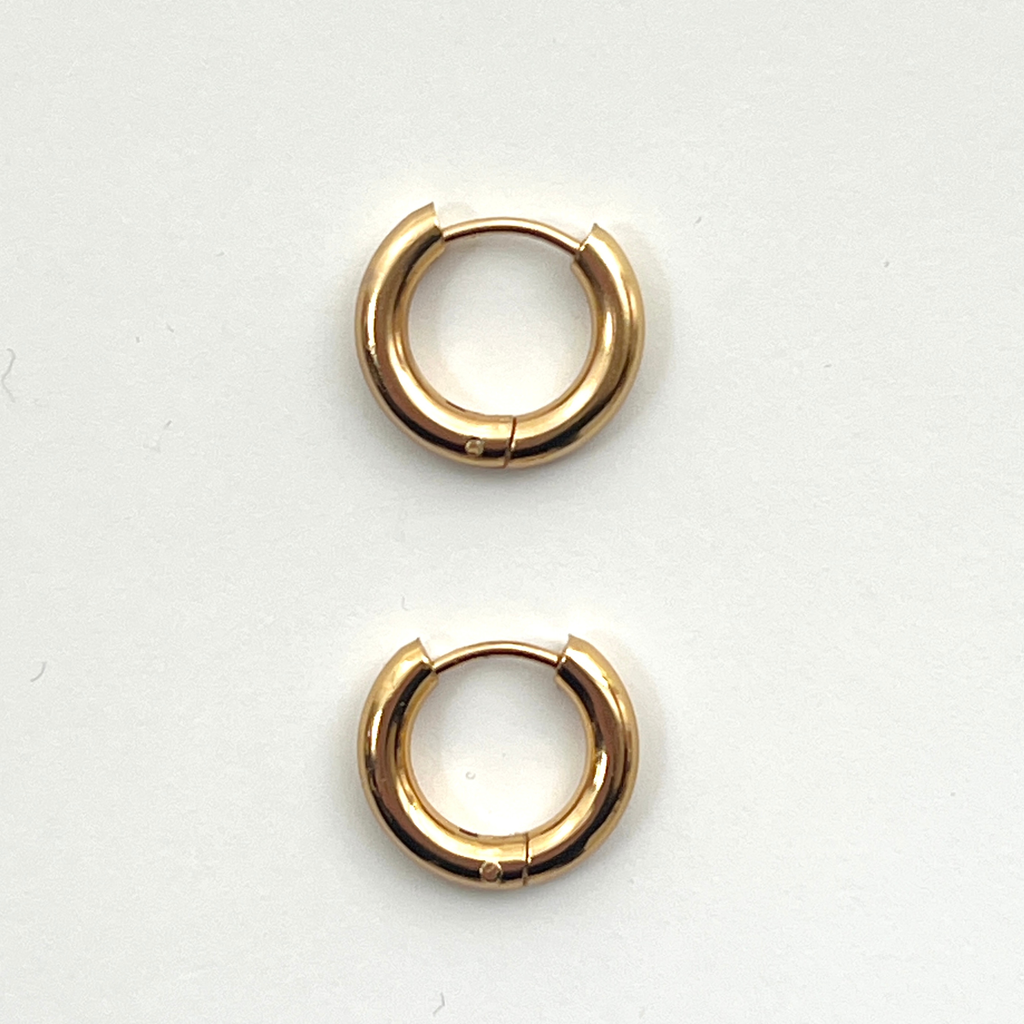 Charms Earrings