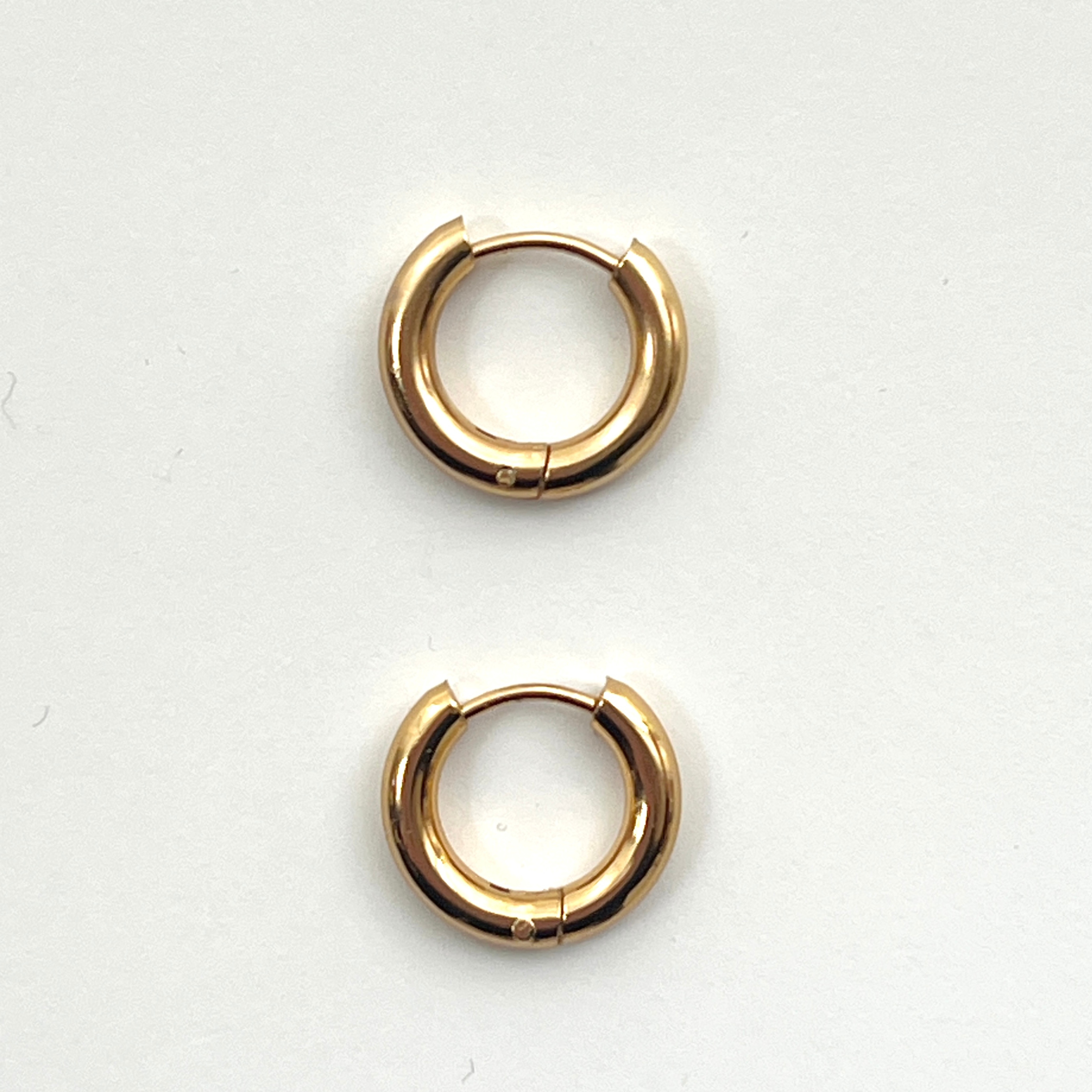 Charms Earrings